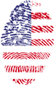 Fingerprint in USA colors